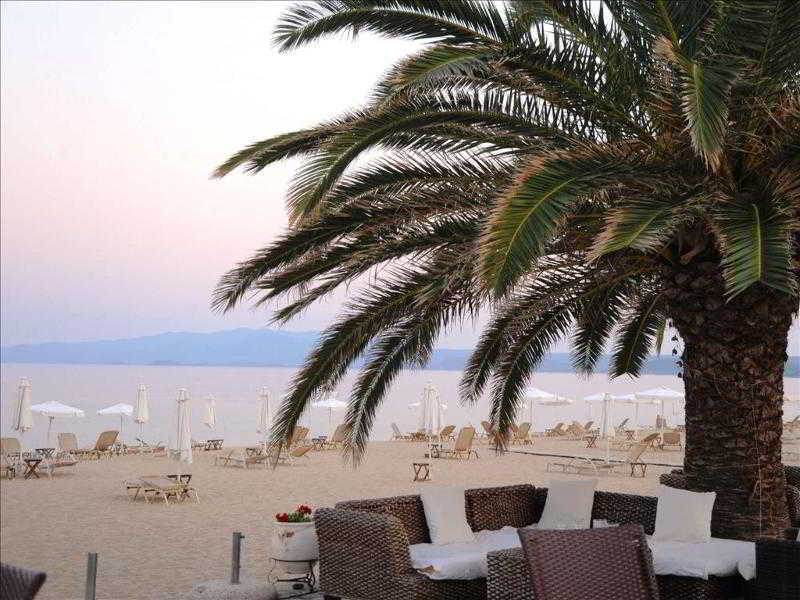 Assa Maris Hotel Chalkidiki Eksteriør billede